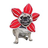 ceepdoogle Dog Costume, Demogorgon Headgear of Pets, Scary Flower Design Hat Halloween Hat for Cat and Dog, Cute DIY Cosplay Hat Headgear, Red