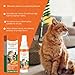 Roseye Cat Deterrent Spray for Indoor Use - Gentle & Effective Spray to Discourage Scratching & Marking, Natural Boundary Aid for Furniture & Plants, 100ML/3.38oz/2-Pack