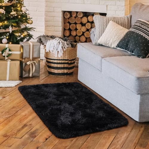HOMORE Small Rugs for Bedroom 2x3 Feet Black Rug for Bedroom Bedside Soft Fluffy Area Rugs for Desk Indoor Entrance Door Mat, Small Runner Rugs and Carpets for Dorm Nursery