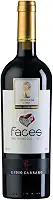 Vinho Lidio Carraro Faces do Brasil Merlot 750ml