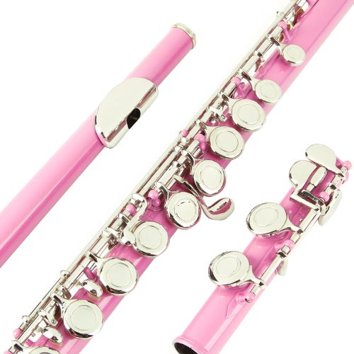 Image of Glory Closed Hole C Flute With Case, Tuning Rod and Cloth and Gloves, Light pink