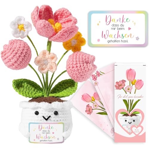 QUANMAITONG Dankeschön Geschenke Danke DASS Du Mir Beim Wachsen Geholfen Hast Thank You Erzieherin Geschenk Glücksbringer Positive Kartoffel Pocket Hug Geschenk Für Frauen Kollegen Frau Freundin (D)