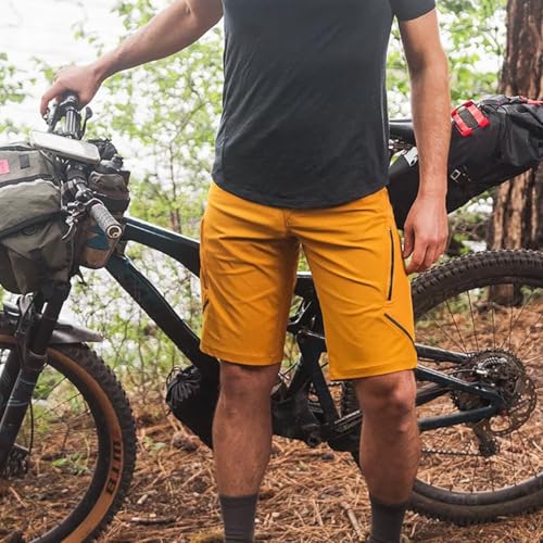 Shorts Apex DWR para hombre 12" miniatura 4