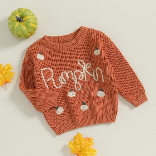 Toddler Baby Halloween Sweater Long Sleeve Crew Neck Pumpkin Embroidery Pullover Sweater Fall Winter Knitwear3