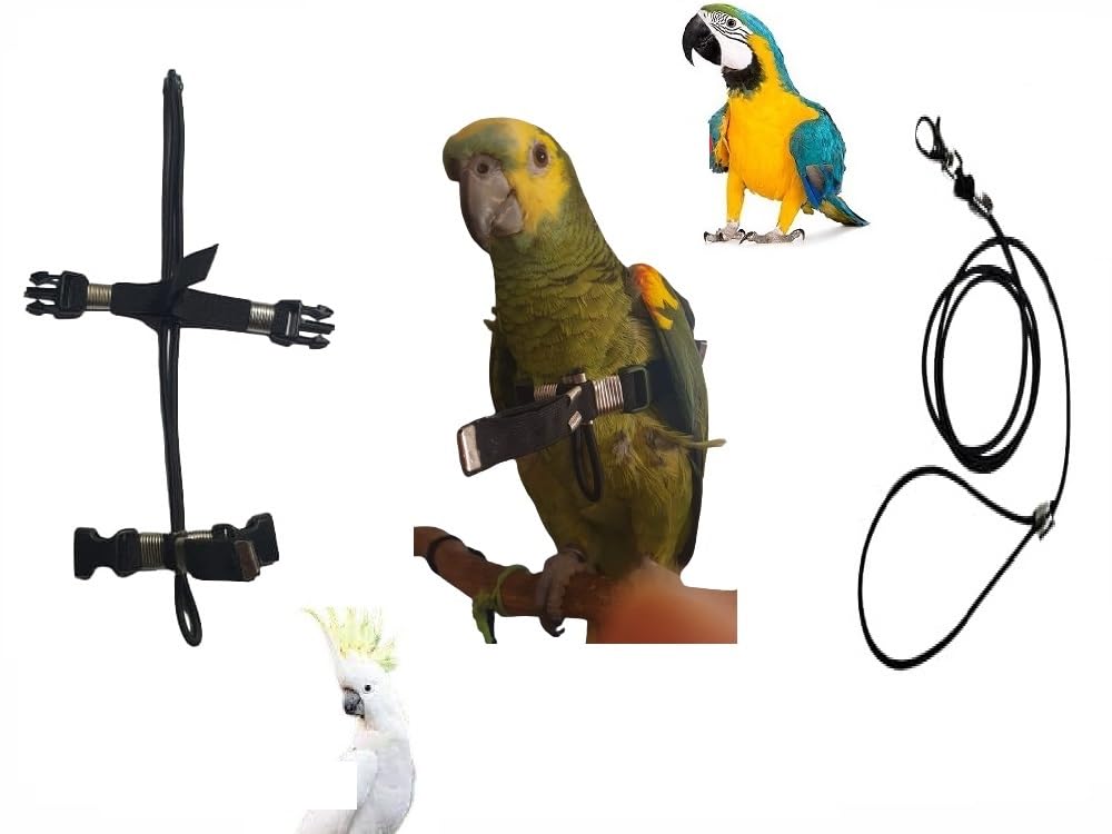 Arnés mediano para loro ceniza cacatúa amazonas y guacamaya ajustable