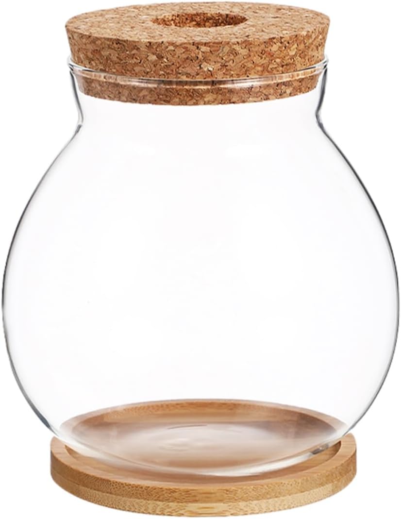 UPKOCH Hydroponic Glass Vase with Wooden Base for Indoor Plants Transparent Flower Propagation Station Minimalist Terrarium Decor Easy Maintenance Showcases Visible Roots for Plant Lovers