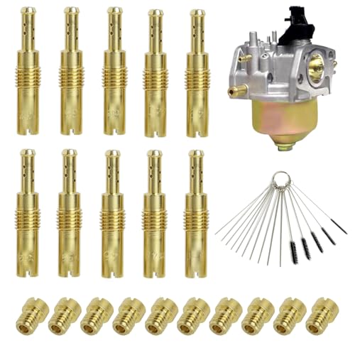 【Facile Manutenzione】Il kit comprende un set di spazzole per la pulizia, perfette per rimuovere residui e ostruzioni nei passaggi del carburatore, assicurando così un funzionamento ottimale e prolungato del motore.