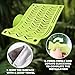 BingegePet Plastic Frog Hammock with Suction Cup, Frog Habitat Platform, Reptile Decorations for Terrarium, Frog Tank Accessories, Terrarium Decor for Tree Frog, African Dwarf Frog, Frog and Toad