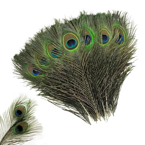 Peacock Feather 20 Small Eye Peacock Feathers for Costume and Decor Large Green Peacock Feathers 25-30 cm