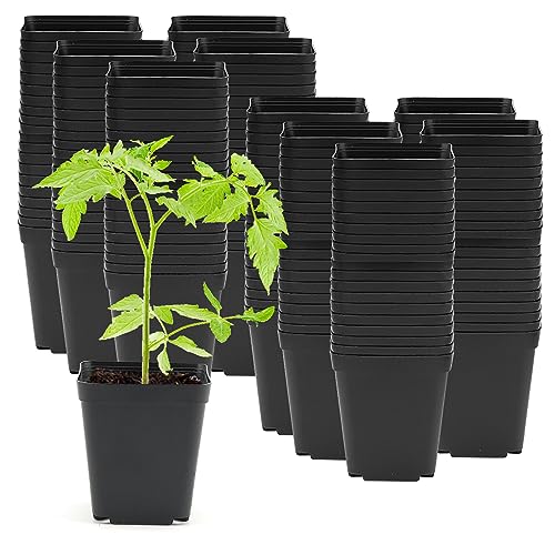 ZEONHAK 200 Pack 5.5cm Small Square Black Plant Pot, 2 Inch Mini Plastic Garden Flower Planter Pots for Plants, Succulents, Seed Nursery