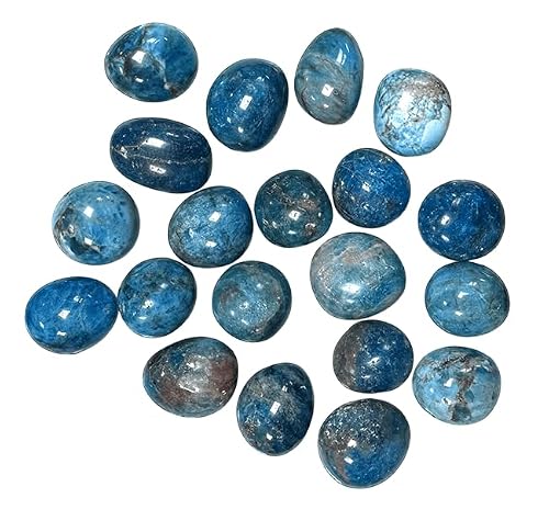 Apatite Bleue Pierre Roulée de 2 à 3 CM, Qualité A+, Lithothérapie, 1 unité