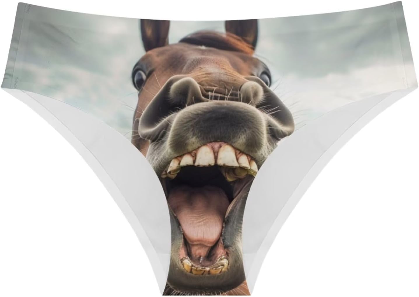 Dellukee Women's Sexy Underwear Briefs Horse Funny Print Breathable Hipster Panty Comfortable Bikini Panty for Bachelorette Party Gag Gift