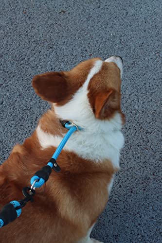 LOS ANDES Dog Slip Collar Choke Collar for Dog Training Nylon Rope Collar with Adjustable Stopper No Pull Round Martingale Dog Collar for Small Medium Large Dogs(Blue - Image 4