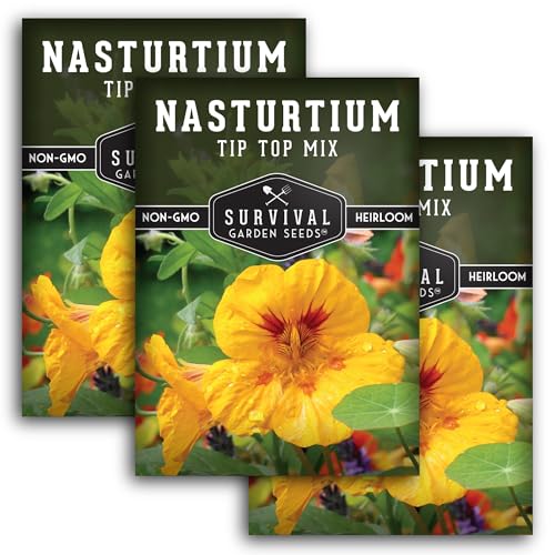 Nasturtium Seeds for Planting Outdoors – Tip Top Mix Heirloom