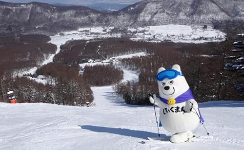 ブランシュたかやまスキーリゾート リフト1日優待券 1枚 スキー場 リフト券 雪山 ウインタースポーツ 安心 安全 ファミリー 遊べる 雪遊び わんぱ〜く