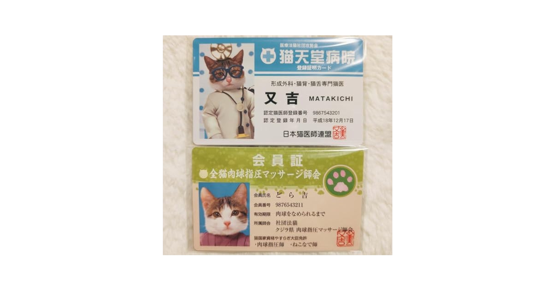 Amazon.co.jp: No.N-010なめ猫 なめんなよカードコレクション2 2