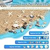 HAPY SHOP 1200 Pieces Tiny Sea Shells Small Natural Starfish Mixed Ocean Beach Spiral Seashells for Home Decorations,Wedding Decor,Candle Making,Beach Theme Party,DIY Crafts and Vase Filler #2