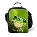 3D Frog Lunch Bag Kids Small School Shoulder Cooler Bags Stylish for Children