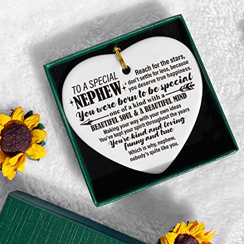 Image of Nephew Gifts from Auntie Aunt Uncle, Christmas Tree Keepsake Ornaments Gifts for Nephew from Auntie Aunt Uncle, Holiday Christmas Tree Decorations Ornaments Sign, You were Born to Be Special