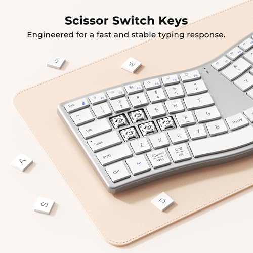 Image of MEETION Wireless Ergonomic Keyboard, Split S-Curve, Bluetooth & 2.4G, White | Rechargeable full-size keyboard with slim low-profile keys, Bluetooth and 2.4G wireless for Windows, Mac, PC and laptop