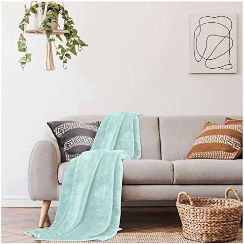 GC GAVENO CAVAILIA Luxurious Fleece Mink Blanket, Warm & Thermal Blankets Throws, Cuddly Throws For Sofas, Aubergine, 200X240
