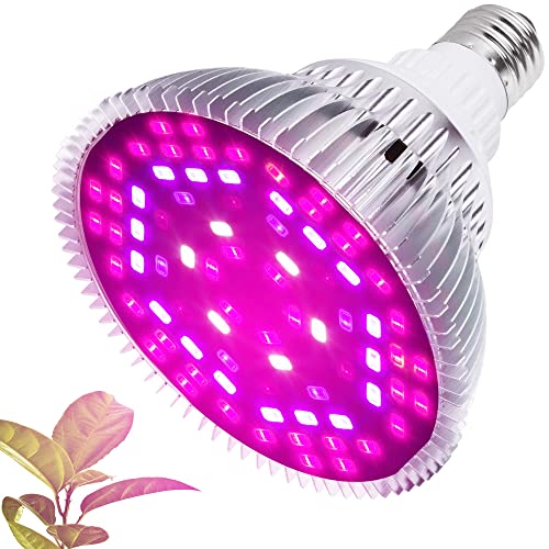 Lámpara LED para plantas de 30 W E27, luz de crecimiento de espectro completo, 120 LED, luz LED para plantas de espectro completo, iluminación para plantas hidropónicas de interior Cover