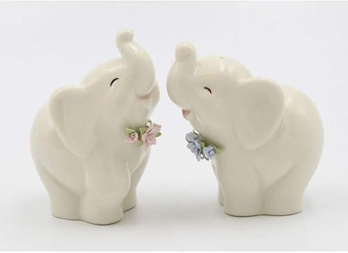 Juego de salero y pimentero de porcelana fina, pareja con flores rosas y azules, 3-1/4 pulgadas de alto