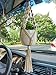 Mkono Mini Macrame Plant Car Accessories Rear View Mirrior Charm Cute Hanging Rearview Car Decor Boho Hanger with Artificial Succulent Plants Gifts for Plant Lover Set of 2, White