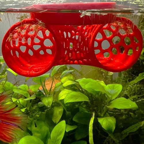 Image of Floating Betta Tunnel for Betta Training. Interactive Training & Enrichment Toy for Betta Fish - Stress Relief & Exercise Accessory, Floating Betta Fish Toys