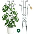 KINGLAKE Plant Trellis for Climbing Plants Indoor Outdoor - 2 Pack 32.7 Inch Green Expandable Metal Garden Trellis for Potted Climbing Plants Support Flower Vine Ivy Monstera Houseplant with Tape
