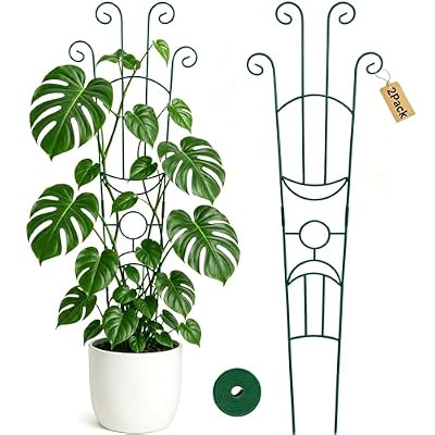 KINGLAKE Plant Trellis for Climbing Plants Indoor Outdoor - 2 Pack 32.7 Inch Green Expandable Metal Garden Trellis for Potted Climbing Plants Support Flower Vine Ivy Monstera Houseplant with Tape