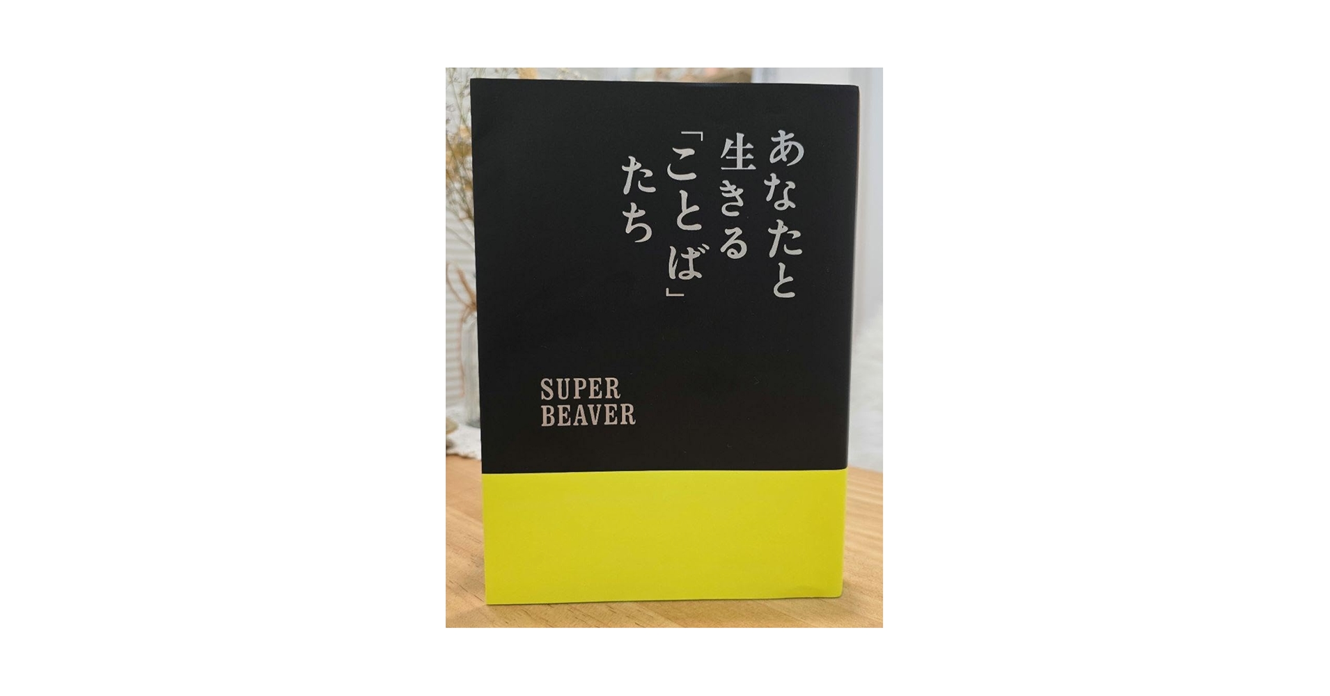 あなたと生きる「ことば」たち　スーパービーバー　本　書籍 Amazon.co.jp: super beaver スーパービーバー あなたと生きる