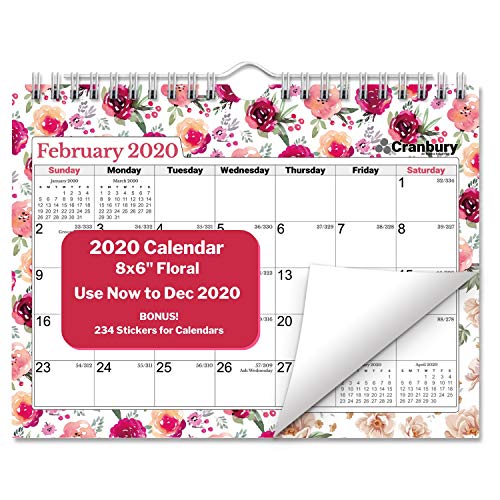 Small 2020 Calendar (Floral) 8x6, Use Now to December 2020, Monthly Wall Calendar, Hanging Mini Bulletin Board Calendar with Stickers for 2019-2020 Calendar