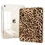 Brown Leopard