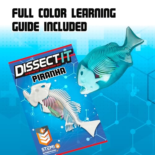 Image of Top Secret Toys Dissect-It Mini Labs Piranha Lab Dissection Kit for Kids, Realistic Synthetic Kids Science Kit - On, Biology and Animal Anatomy, STEM Toy, Ages 6+