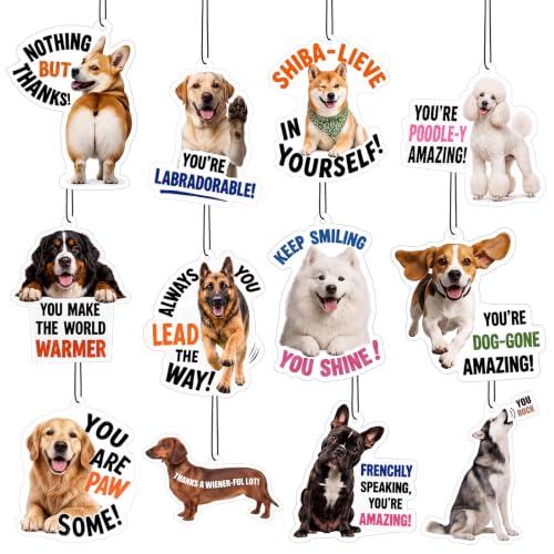 Image of Siifert 24 Pcs Vet Tech Appreciation Week Gift Bulk Dog Air Freshener Car