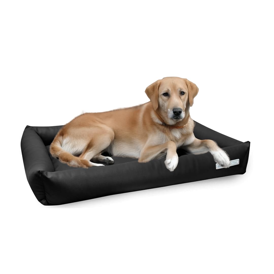 gutes nassfutter fr ltere hunde Hundefutter Senior Pferd (Soft)  Hypoallergen & Getreidefrei  Tales &  Tails