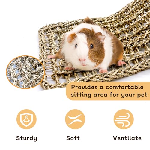 Image of 2Pcs Bird Seagrass Mat 20.5x8'' Natural Grass Woven Net Hammock Hanging on Cage Parakeet Climbing Rope Ladder Chew Toys for Lovebird Cockatiel Conure Budgie Cockatoo