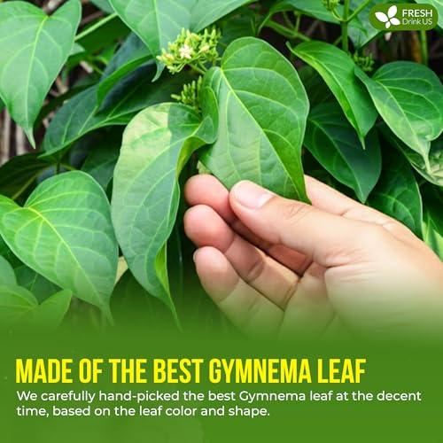 Image of FreshDrinkUS, Premium 16oz Gymnema Leaves Powder, 100% Natural & Pure, Herbal Tea, Daily Infusion Botanical, No Sugar, No Caffeine, No Gluten, Vegan. Rich in Antioxidants.