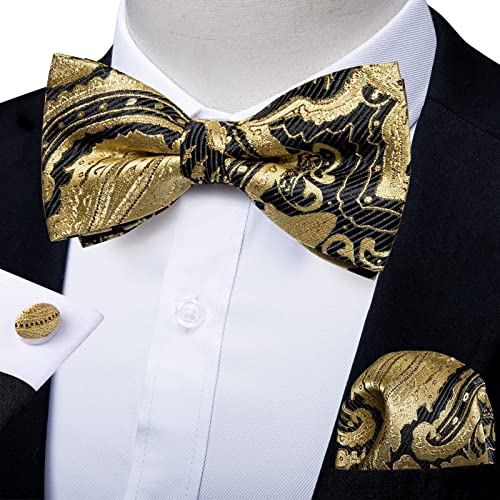 Image of DiBanGu Paisley Pre-Tied Bow Ties for Men Silk Adjustable Bowtie and Pocket Square Cufflinks for Wedding Party