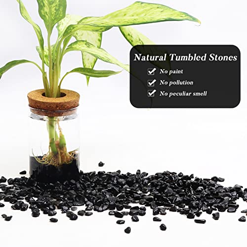 Image of QICQDRAM Black Obsidian Tumbled Stone Chips 1 Lb Natural Crystal Stone Decorative Pebbles for Home Decoration & Fish Turtle Tank, Vase Filler, Plants Decor