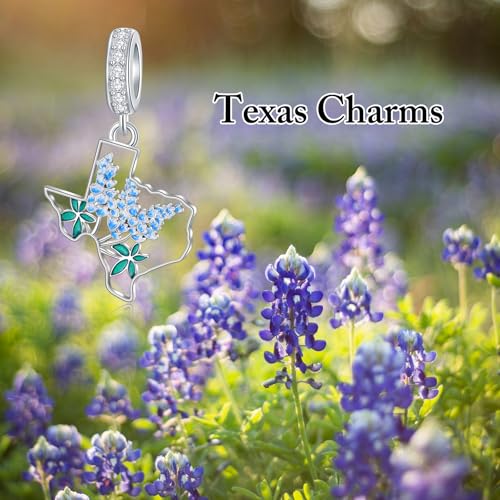 Texas Bluebonnets Charms for Bracelet 925 Sterling Silver State Map Flag Jewelry Hometown Texas Gifts for Women Love TX2