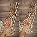 Wood Trick Wooden Robot Hand 3D Wooden Puzzle - Robotic Hand Wood Model Kit to Build