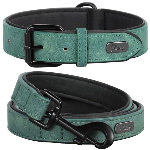 Image of Didog PU Leather Dog Collar and Leash Set, Soft Padded, Green, Neck 11-14 inch