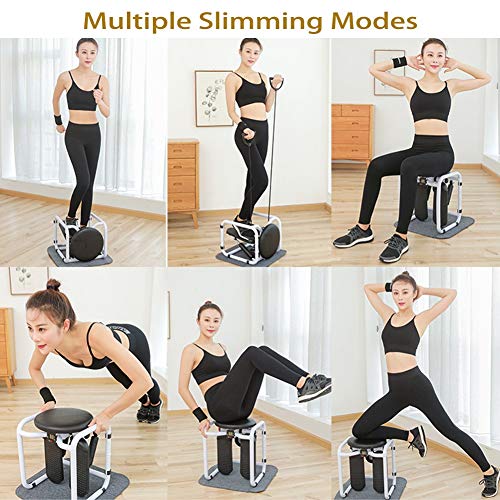 ZZTWO Fitness Mini Stepper Training Device 6-in-1 Twister Stepper with Multifunction Display Adjustable