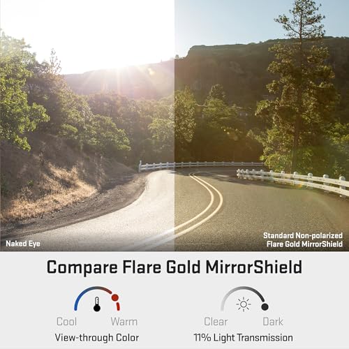 Image of Revant Replacement Lenses for Bose Tempo