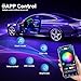 Dreamcolor Acrylic Interior Car LED Strip Light with Wireless APP, RGB 6 in 1 with 175 inches 593 LEDs Fiber Optic Strip Lights for Car, Dynamic Chasing Music Sync Neon Car Ambient Lighting Kits