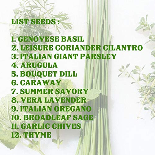 Assorted 12 Popular Herb Seeds Usa Origins, 5500+ Seeds Survival Garden Kit, Easy To Grow Herb Seeds For Planting, 100% Non-Gmo Heirloom Collection For Indoor Outdoor Garden Culinary Medicinal #TOP4
