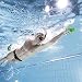 Arena Trainingsgerät Elite Finger Paddle - Palas de mano para natación, color...