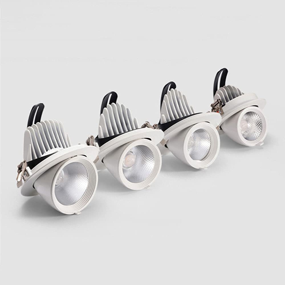 Cuisine Séances de Séjour Lumineuses avec le Plafonnier Réglable LED 4 Pcs 6000K